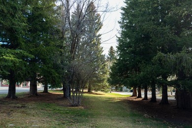 Attention Developers, Builders, Investors: available develop - photo 8