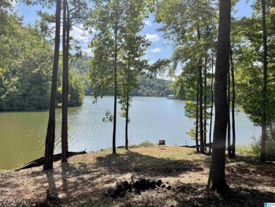 Lake Lot Off Market in Wedowee, Alabama