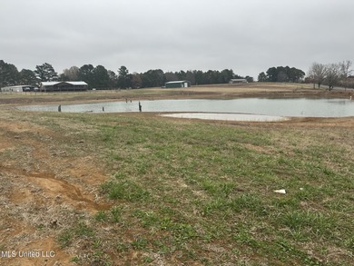 (private lake, pond, coastal) Lot For Sale in Coldwater Mississippi