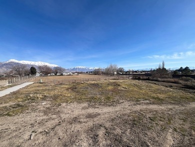 ***PRICE REDUCTION>>>VERY MOTIVATED SELLER***GRAB THE LAST - photo 6