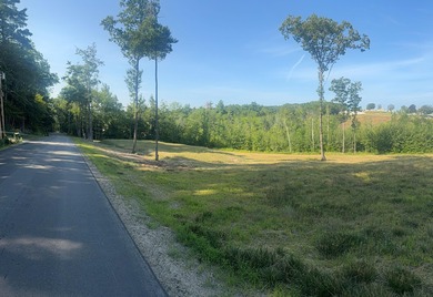 Great East Lake Acreage For Sale in Acton Maine