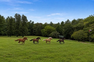 $5 Million Mountain Estate Experience..Offered for Just $2,249 - photo 4