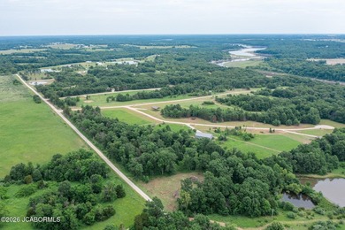 These Mark Twain Lake acreage lots are located along the - photo 22