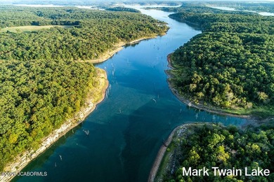 These Mark Twain Lake acreage lots are located along the - photo 29