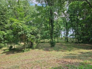 Lake Lot For Sale in Three Rivers, Michigan
