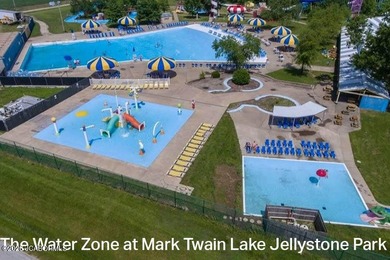 These Mark Twain Lake acreage lots are located along the - photo 34