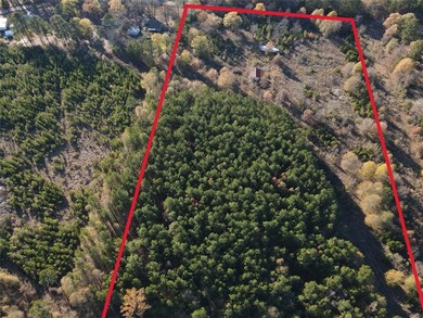 Caddo Lake Acreage For Sale in Oil City Louisiana