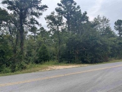 Lake Acreage For Sale in Norman, Arkansas