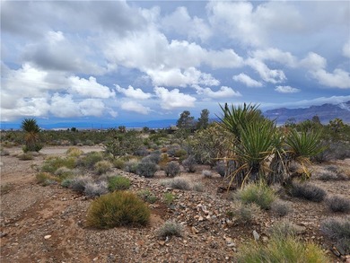 Lake Mead Acreage For Sale in Meadview Arizona