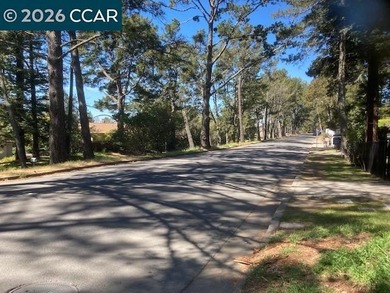 RARE MULTI-PARCEL OFFERING IN THE OAKLAND HILLS. An uncommon - photo 22