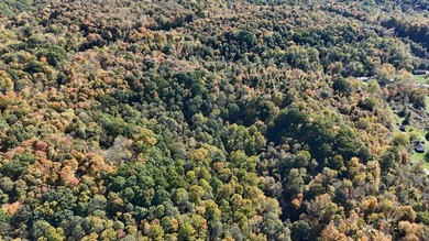 (private lake, pond, creek) Acreage For Sale in Cheshire Ohio