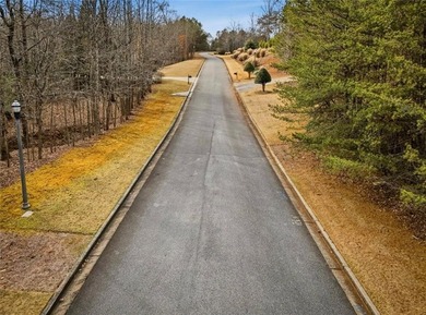 Experience the Ultimate Lakefront Lifestyle on Lake Lanier - photo 11