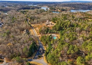 Experience the Ultimate Lakefront Lifestyle on Lake Lanier - photo 12