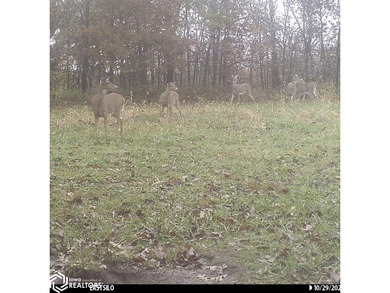 Lake Acreage For Sale in Unionville, Iowa