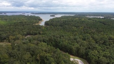 Lake Acreage For Sale in Lincolnton, Georgia