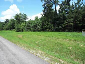 Perfect Price! - Lake Lot For Sale in Double Springs, Alabama