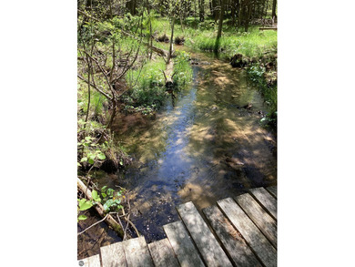 (private lake, pond, creek) Acreage For Sale in Interlochen Michigan