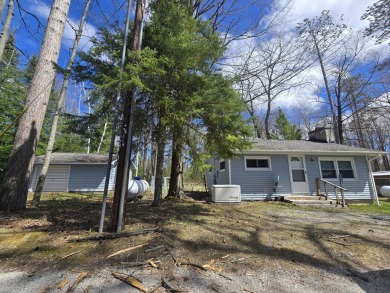 Lake Home For Sale in Curran, Michigan