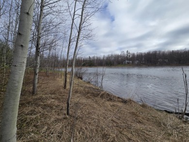 Lake Acreage For Sale in Elmira, Michigan