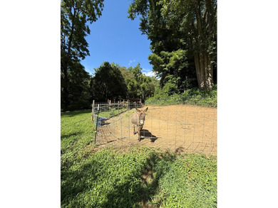 NEWER COTTAGE ON 3.5+ ACRES WITH CREEK, PASTURE & MULTIPLE - photo 29