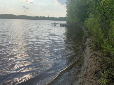 Lake Acreage For Sale in Lawrence Twp, Minnesota