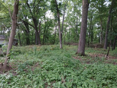 Lake Lot For Sale in Springfield, Michigan
