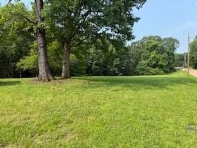 Lake Lot For Sale in Buchanan, Tennessee