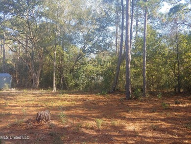 Three beautiful, Cleared acres in the desired Jorden River - photo 11