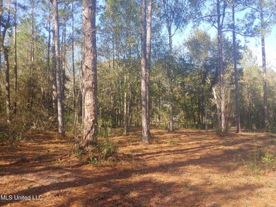 Three beautiful, Cleared acres in the desired Jorden River - photo 12