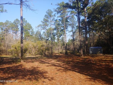 Three beautiful, Cleared acres in the desired Jorden River - photo 13