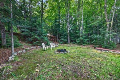 Peaceful waterfront living awaits on Dark Lake! This beautifully - photo 47