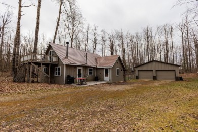 Lake Home For Sale in Mancelona, Michigan