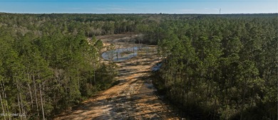 (private lake, pond, coastal) Acreage For Sale in Pass Christian Mississippi