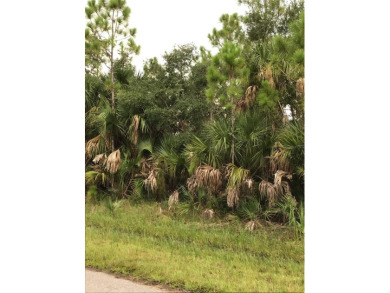 Port Charlotte Waterway Lakes Area Lot For Sale in Port Charlotte Florida