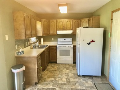 White Pigeon County Ranch. Must see this 3 bedroom 2 bath home - photo 8