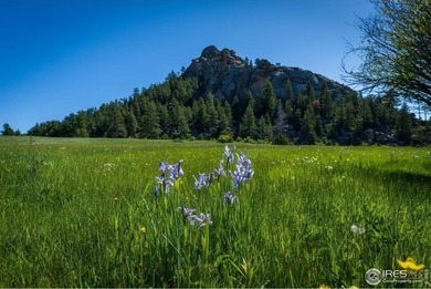 (private lake, pond, creek) Acreage For Sale in Livermore Colorado