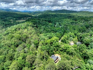 Nestled in the heart of the Blue Ridge Mountains, this adorable - photo 2