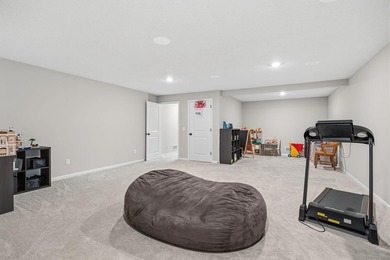 Check out this stunning 3,300+ square foot walk-out rambler - photo 46
