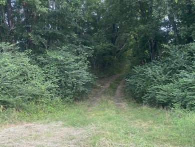 Get your lot bordering the Southfork of the Ouachita River! - photo 9