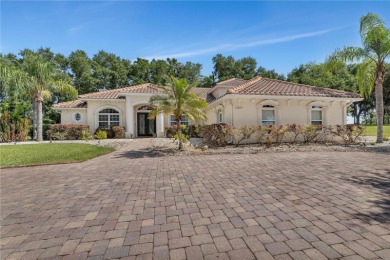 Cherry Lake - Lake County Home For Sale in Groveland Florida