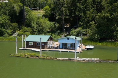 Drive-to Tenmile Lake waterfront retreat with rare boathouse and - photo 2