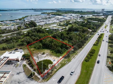 Prime RIVERVIEW commercial site just South of the US #1 and - photo 9