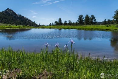 (private lake, pond, creek) Acreage For Sale in Livermore Colorado