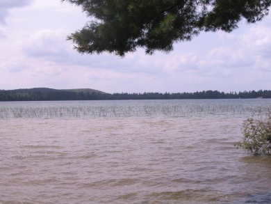 Lake Lot For Sale in Grayling, Michigan