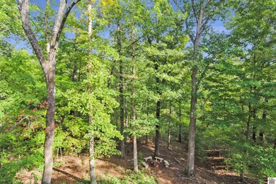 Discover your dream retreat with this stunning lake area home - photo 4