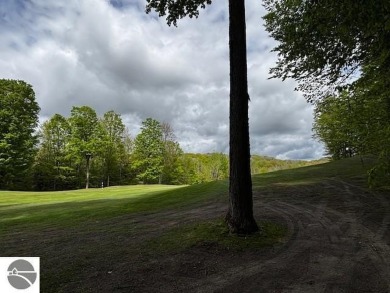 (private lake, pond, creek) Acreage For Sale in Bellaire Michigan