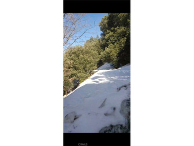 Lake Gregory Acreage For Sale in Crestline California