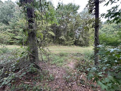 Nestled in the private, gated community of Pine Valley, this - photo 20