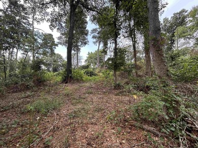 Nestled in the private, gated community of Pine Valley, this - photo 21