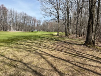 Houghton Lake Lot For Sale in Houghton Lake Michigan